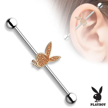 Piercing industriel Playboy sable scintillant