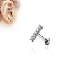 Piercing oreille cartilage barre argentée