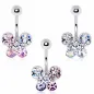 Piercing nombril papillon chatoyant