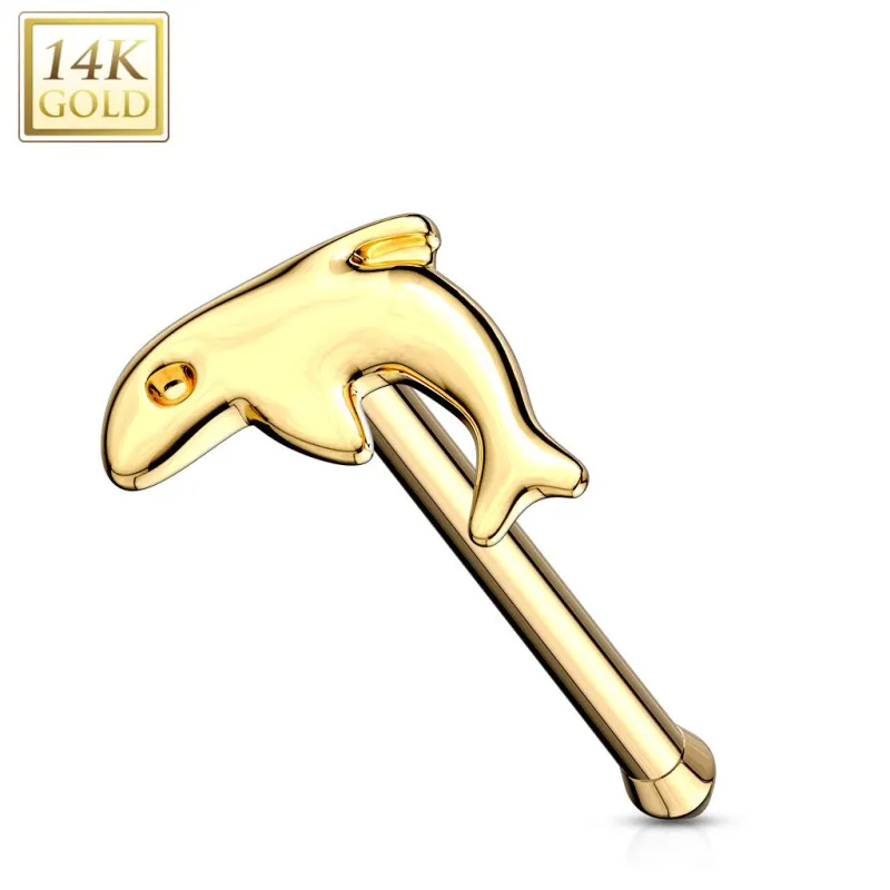 Piercing nez tige droite Or 14K Dauphin