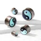 Piercing plug en bois de sono et turquoise Yin et Yang