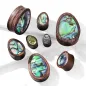 Piercing plug bois de sono larme nacre abalone