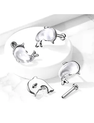 Piercing labret oreille dauphin nacré