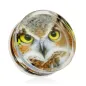 Piercing plug acrylique hibou