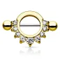 Piercing téton bouclier strass