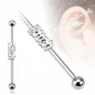 Piercing industriel oreille Bitch